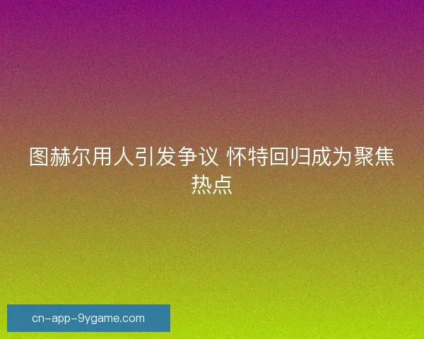 图赫尔用人引发争议 怀特回归成为聚焦热点